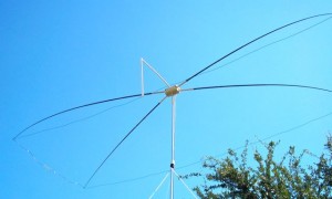 Moxon on top of the 20 foot painter pole extension