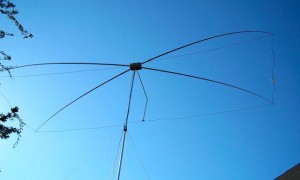 15 Meter Moxon Beam in Action