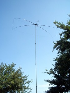 35 feet high near the back fence.